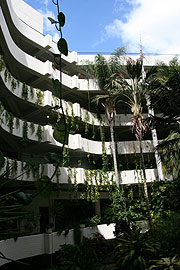 Palmen im Innenhof des Hotel Gran Melia Salinas auf Lanzarote (©Foto: Martin Schmitz)
